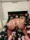 Private Photo of AnnyTRANS